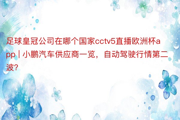 足球皇冠公司在哪个国家cctv5直播欧洲杯app | 小鹏汽车供应商一览，自动驾驶行情第二波？