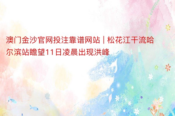 澳门金沙官网投注靠谱网站 | 松花江干流哈尔滨站瞻望11日凌晨出现洪峰